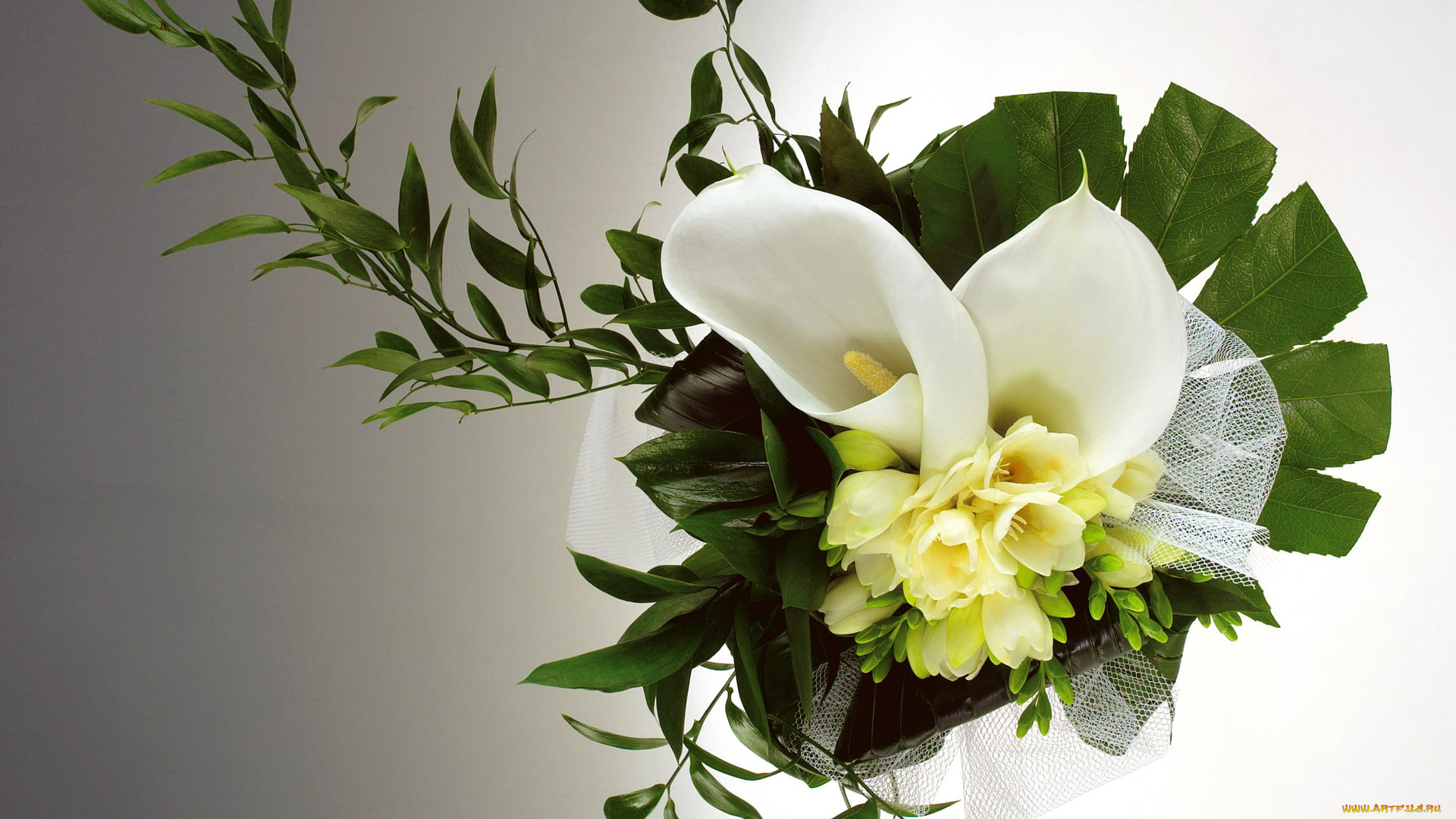 цветы, букеты, композиции