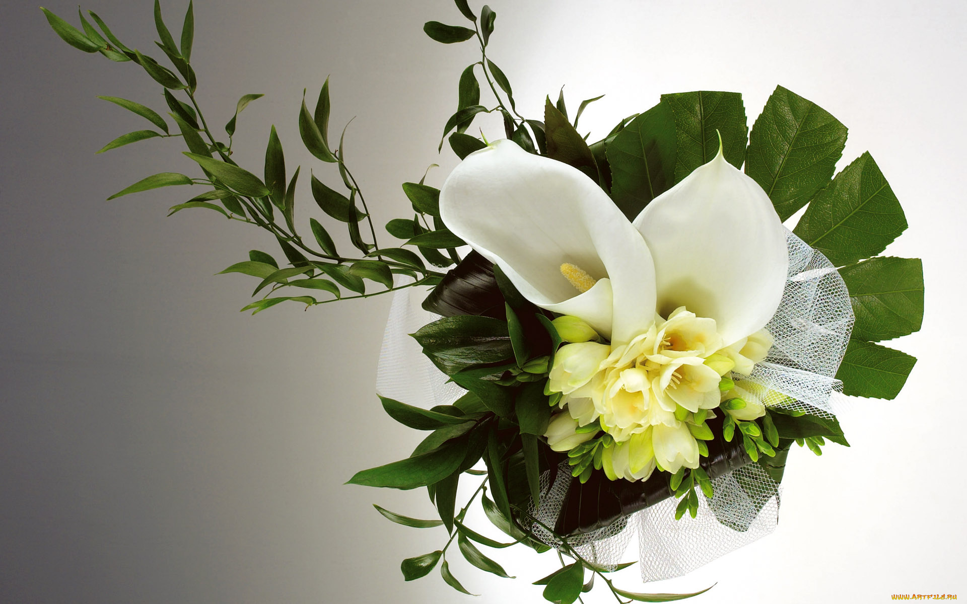 цветы, букеты, композиции