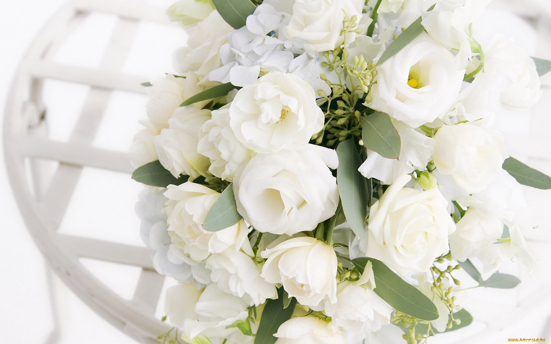 цветы, букеты, композиции