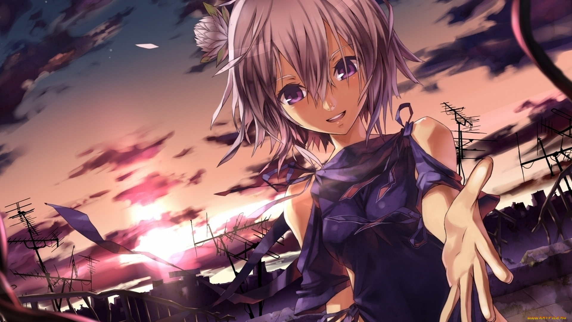 аниме, *unknown, другое, девушка, небо, закат, город, цветок