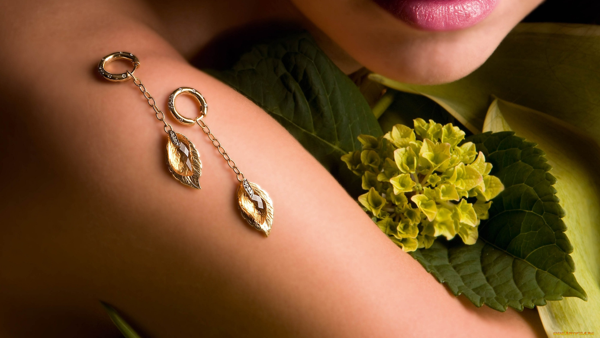 разное, украшения, аксессуары, веера, гортензия, губы, серьги