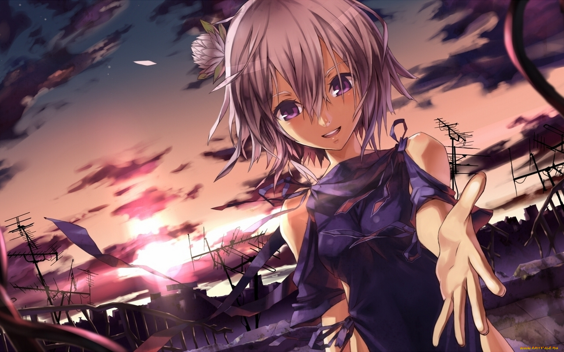 аниме, *unknown, другое, девушка, небо, закат, город, цветок