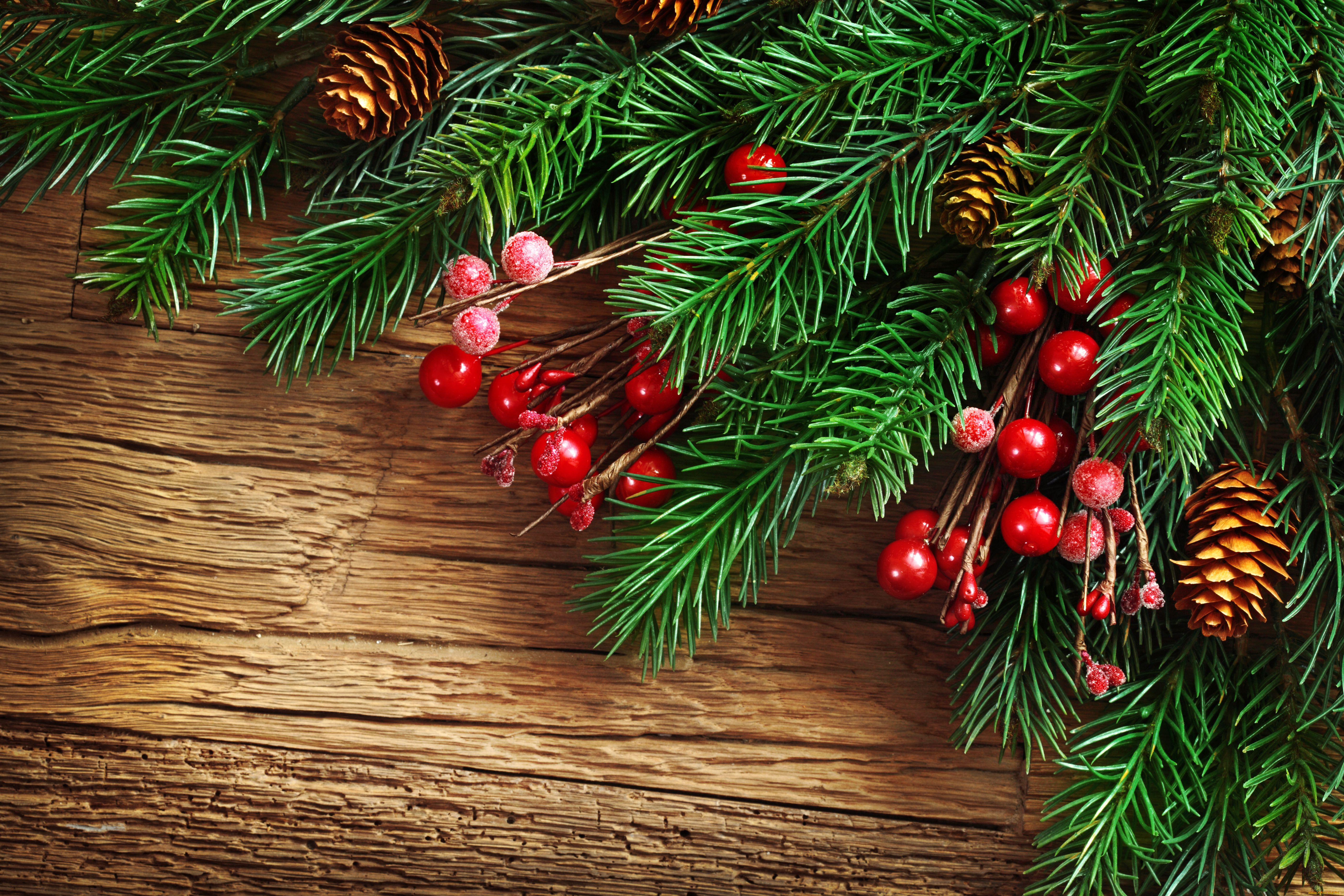 праздничные, Ёлки, еловая, ветка, шишки, ягоды