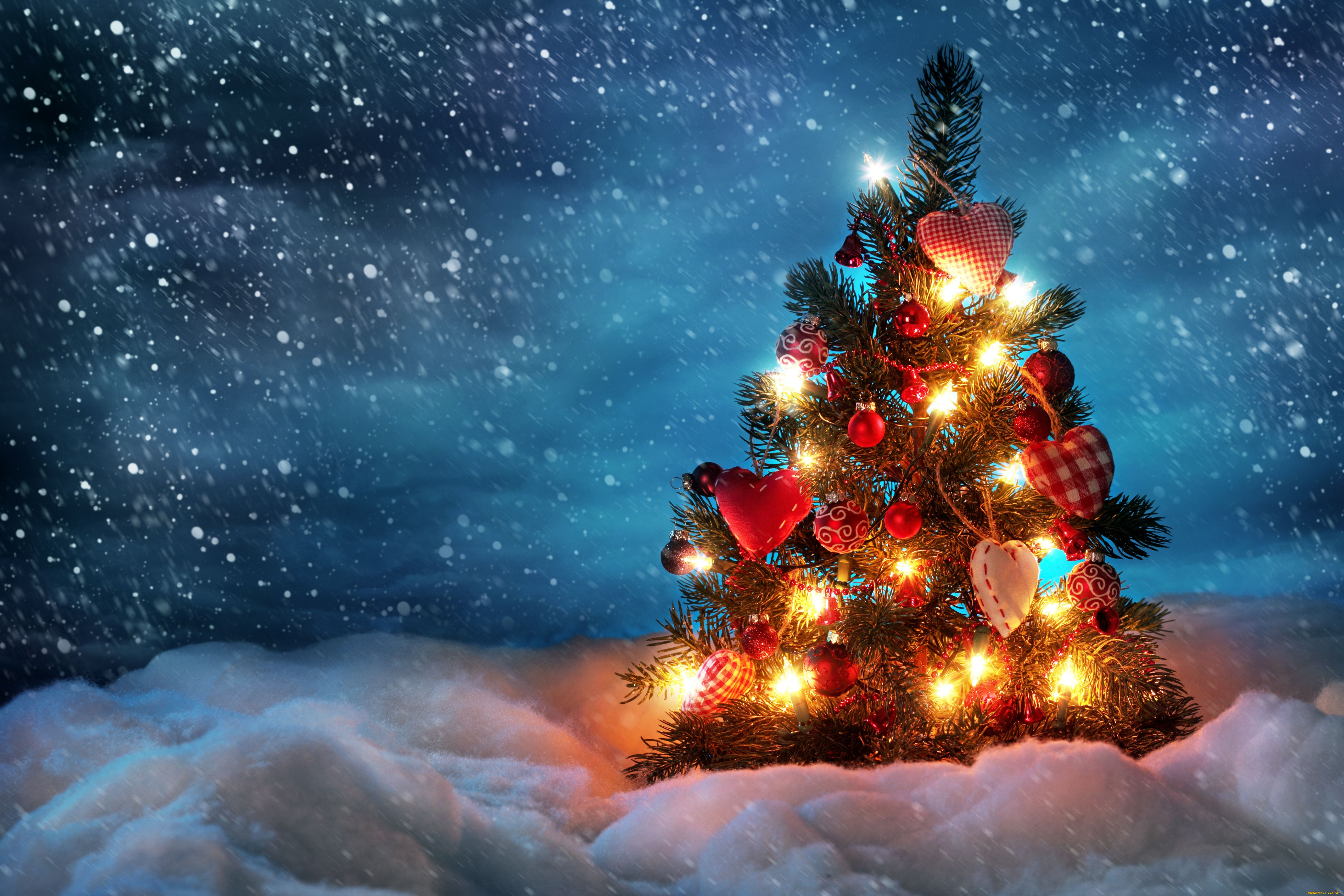 праздничные, Ёлки, снег, сердечки