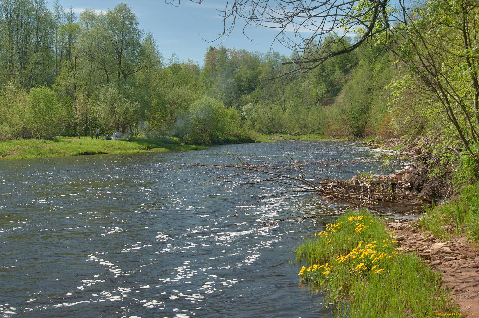 природа, реки, озера, река, лес