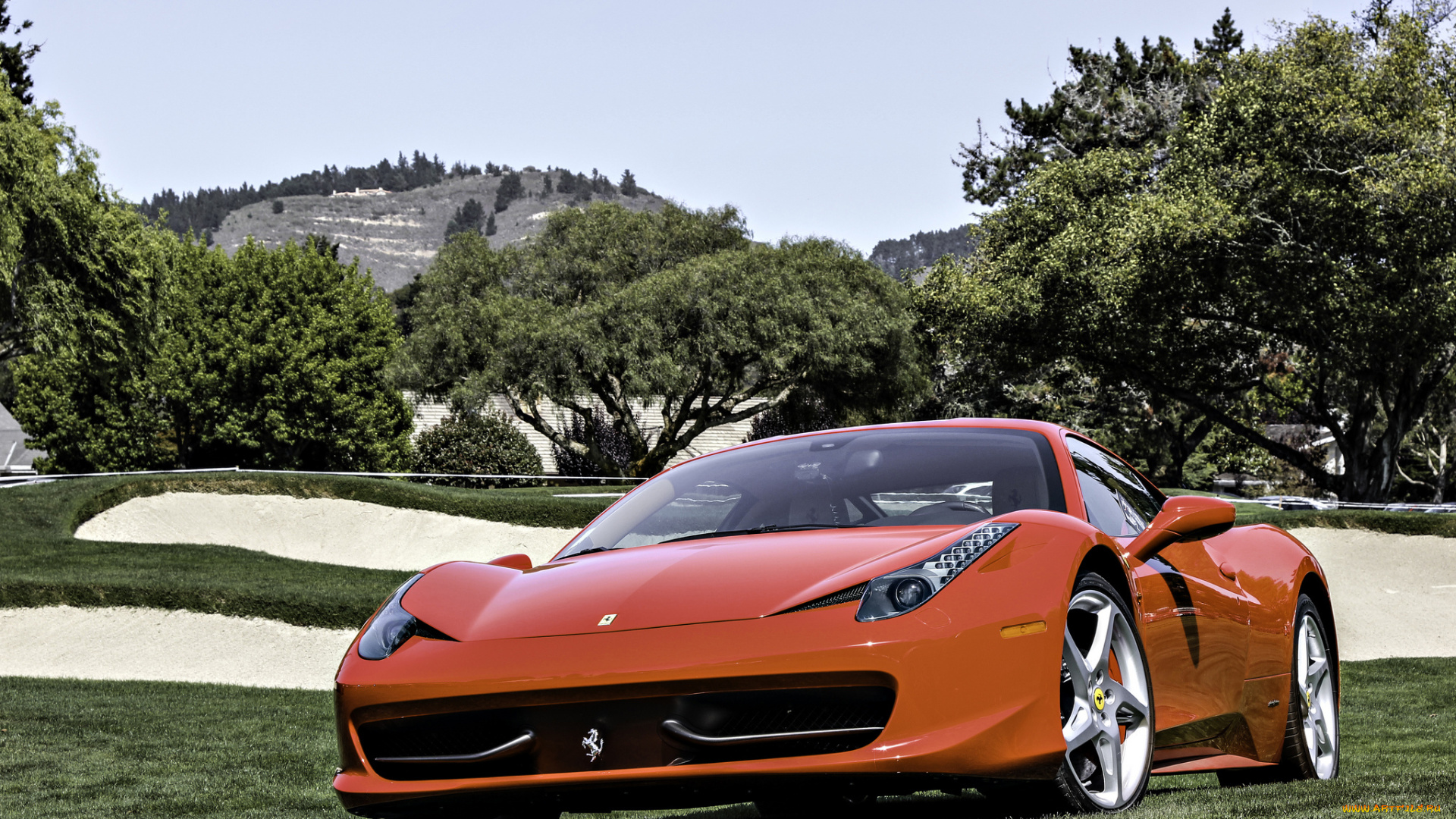 автомобили, ferrari, sky, tree, феррари, 458, италия, красный, поле, деревья, небо, italia, red, grass, front