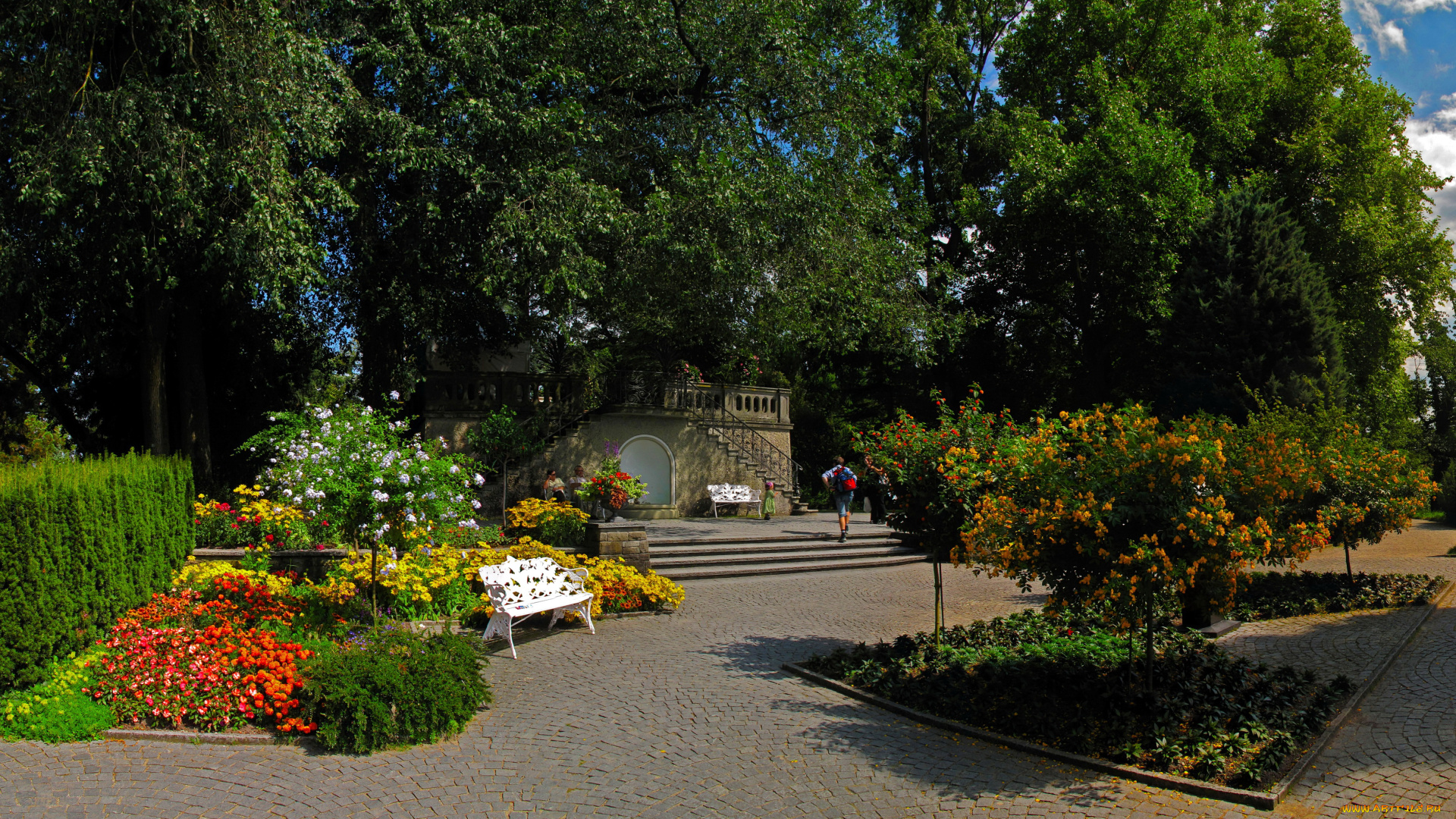 германия, остров, mainau, природа, парк, цветов