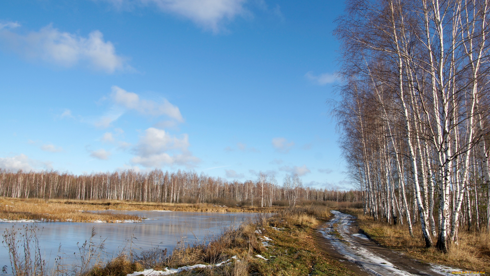 природа, дороги, облака, небо, берёзы, пруд, лёд, снег, зима, деревья, опушка, лес, дорога