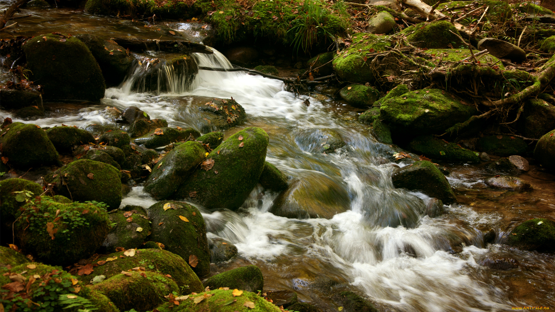 природа, реки, озера, пороги, мох, зелень, речка, камни, поток