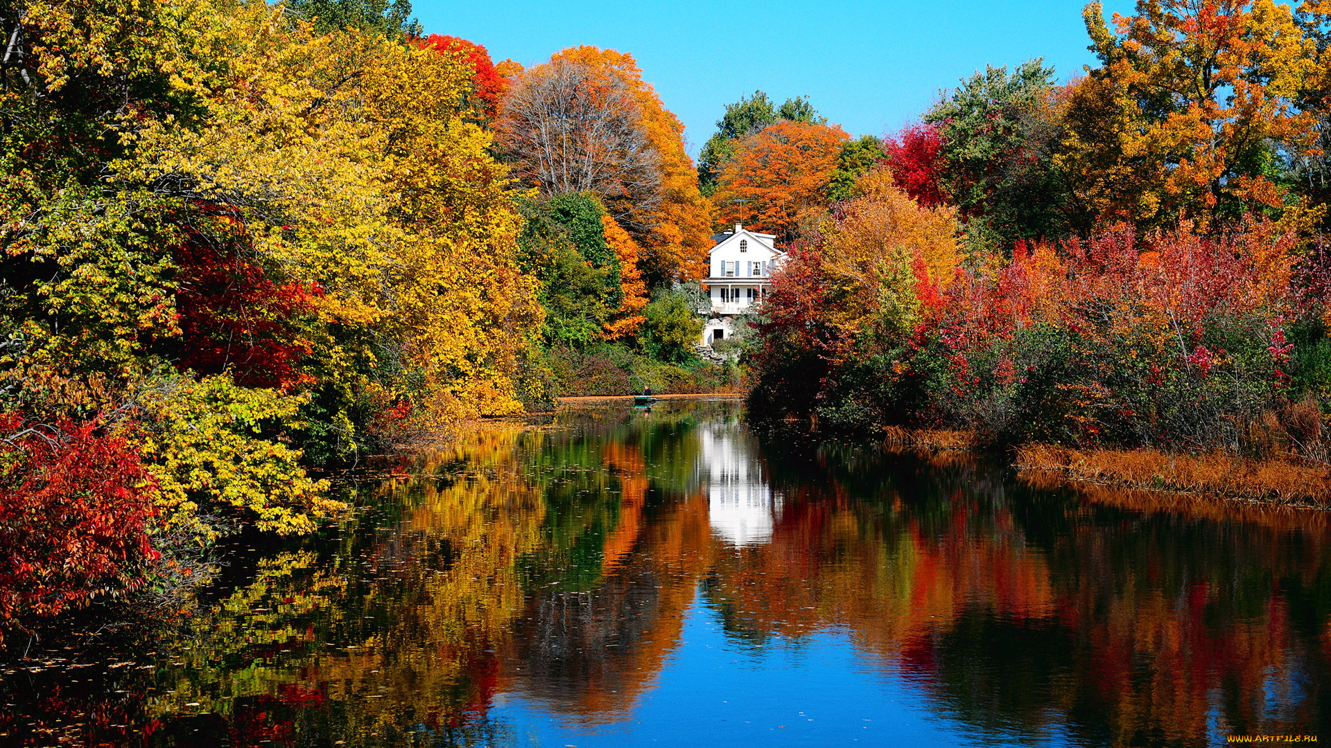 природа, реки, озера, река, лес, осень