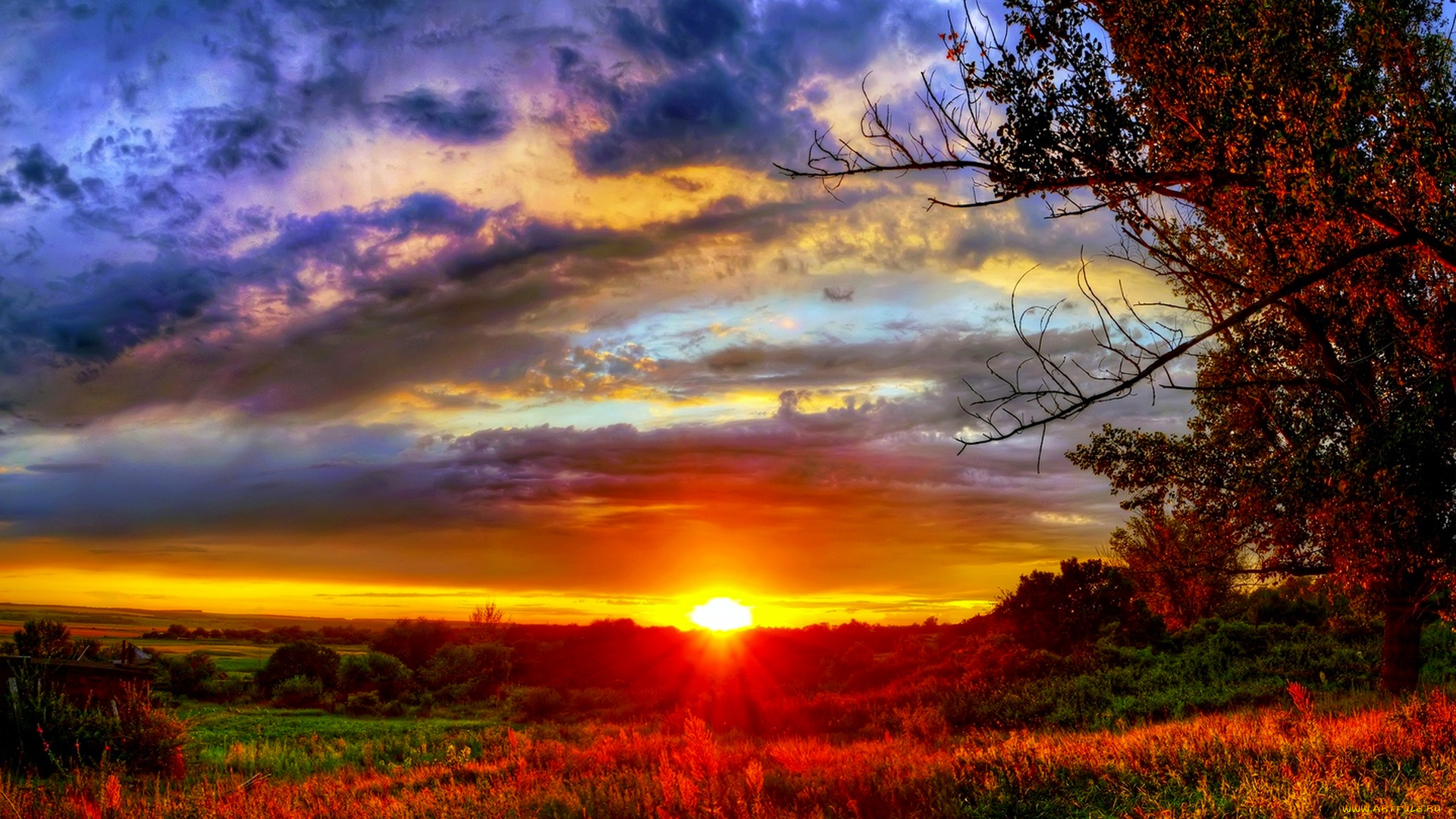 природа, восходы, закаты, закат, поле, трава, деревья
