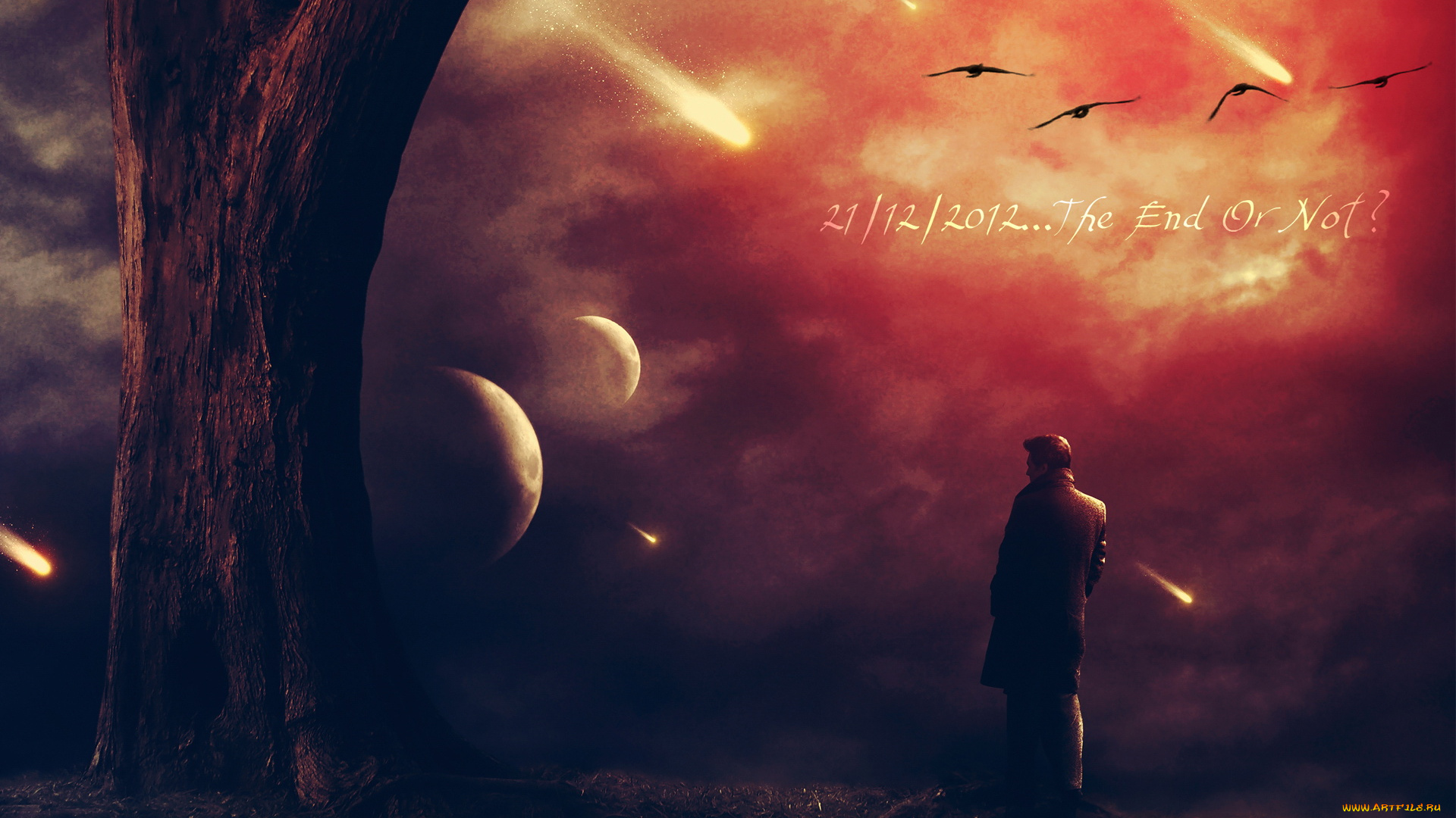 разное, компьютерный, дизайн, планеты, человек, птицы, дерево