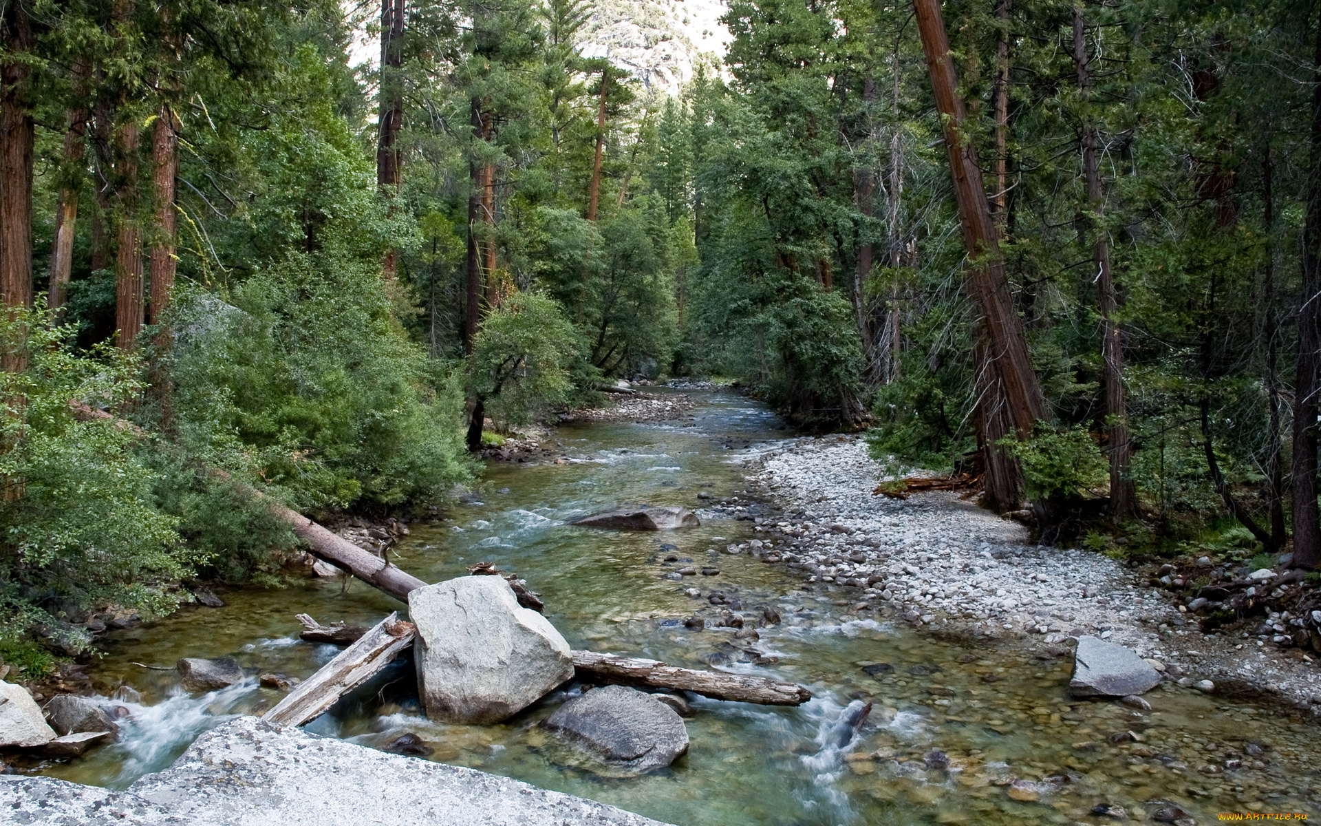 sequoia, national, park, california, природа, реки, озера, река, лес