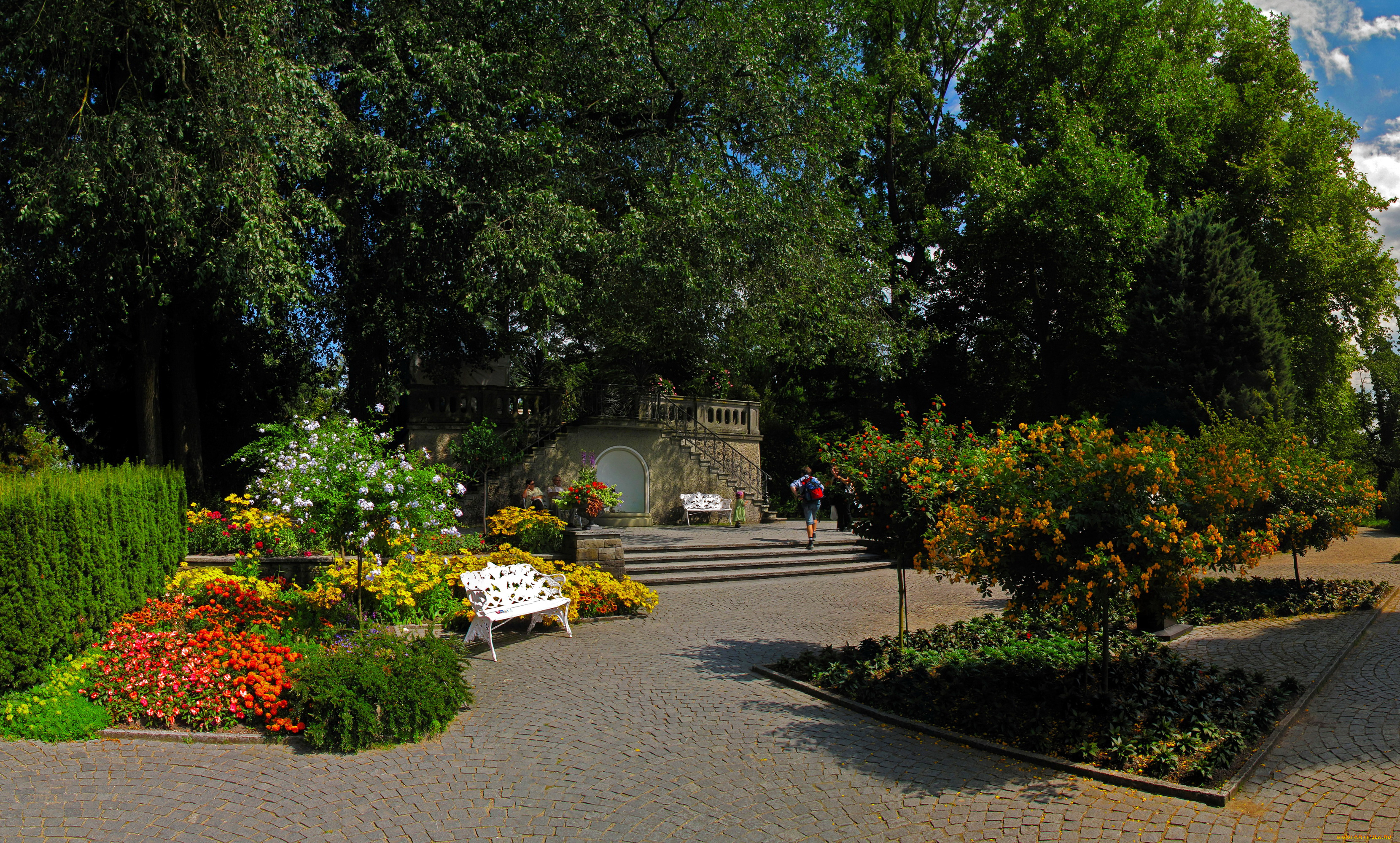 германия, остров, mainau, природа, парк, цветов