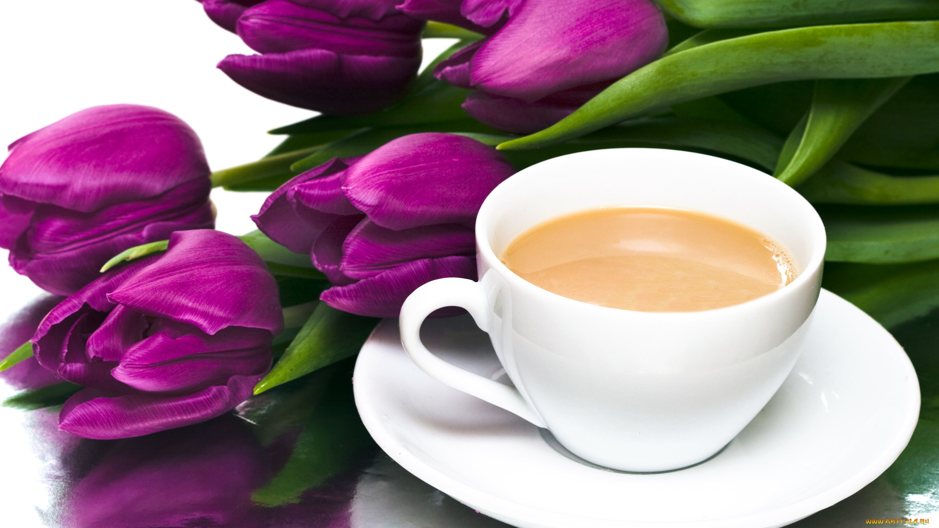 еда, кофе, , кофейные, зёрна, блюдце, тюльпаны, чашка
