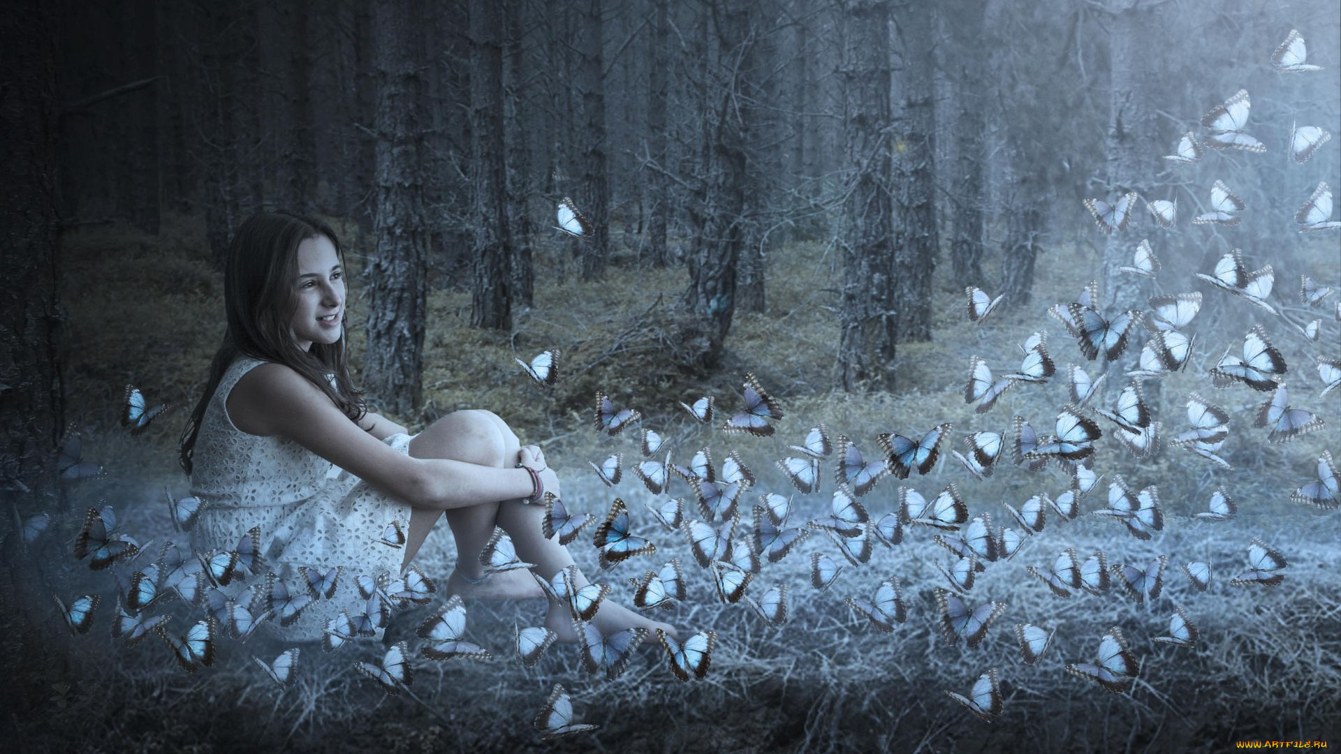 девушки, -unsort, , брюнетки, , шатенки, лес, бабочки, девушка