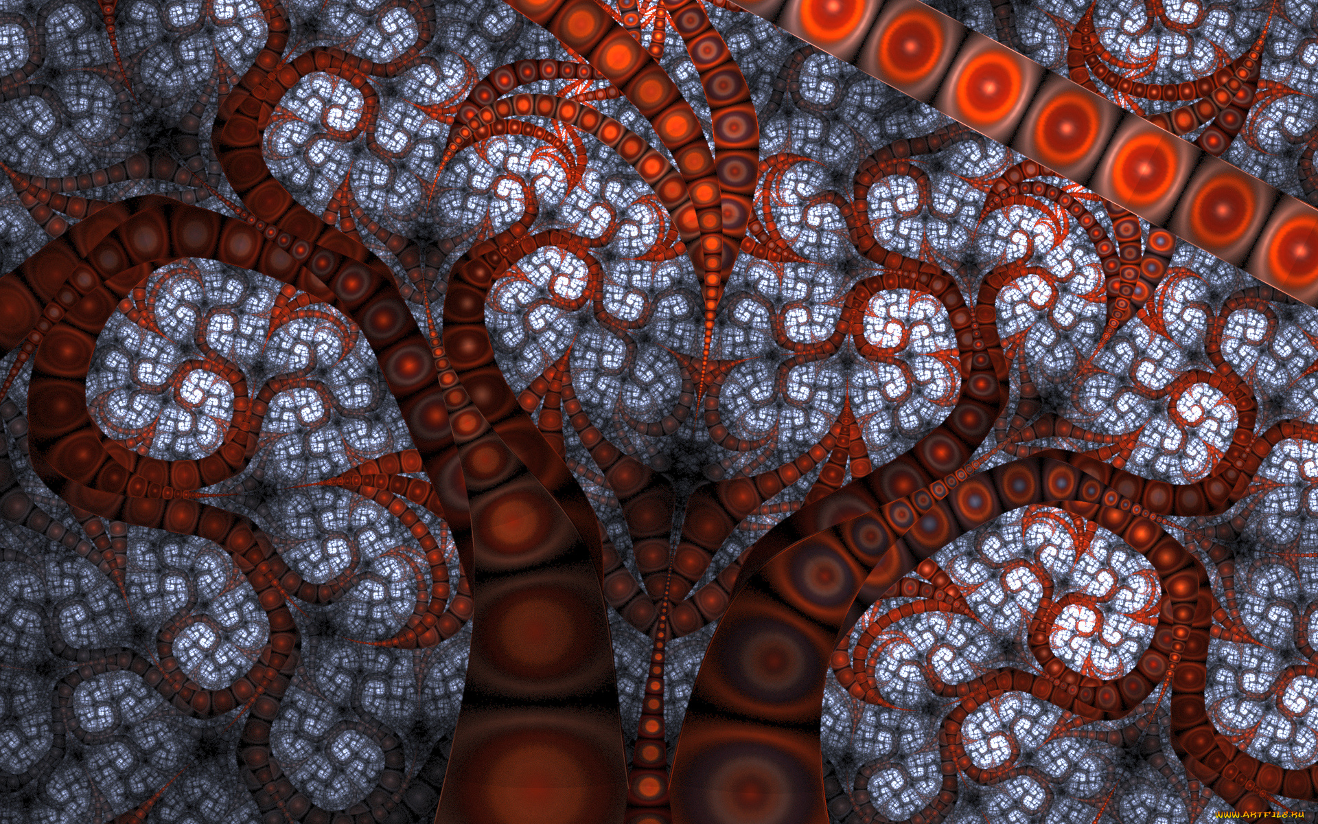 3д, графика, фракталы, , fractal, цвета, узор, фон