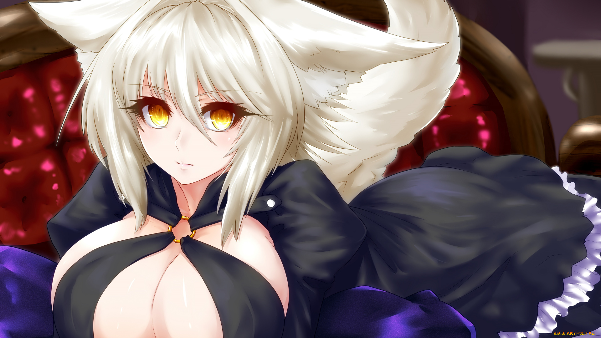 n, r, r, r, аниме, животные, , существа, арт, девушка, грудь, взгляд, ушки