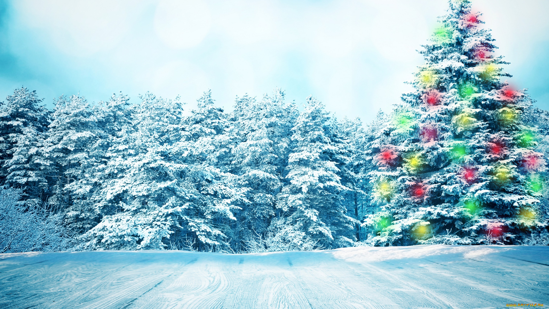 праздничные, Ёлки, nature, снежинки, зима, снег, елка, snow, winter, лес