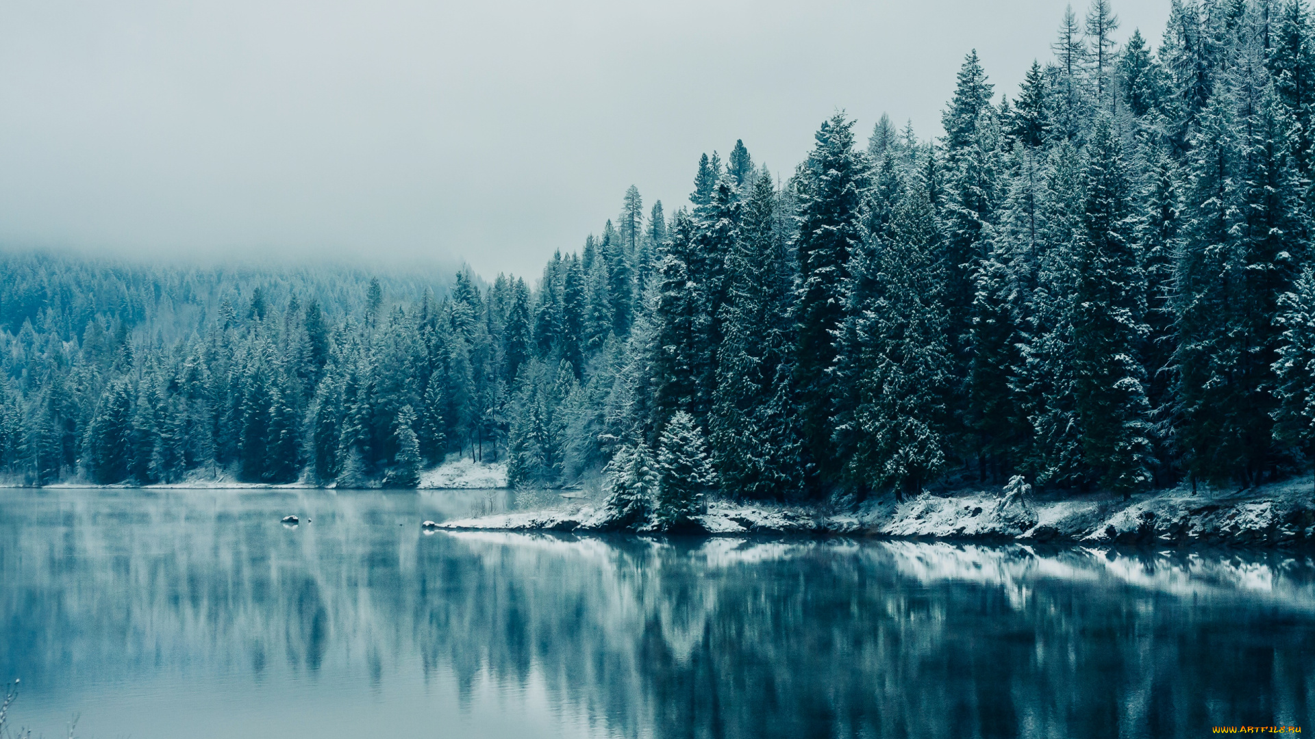 природа, реки, озера, река, лес