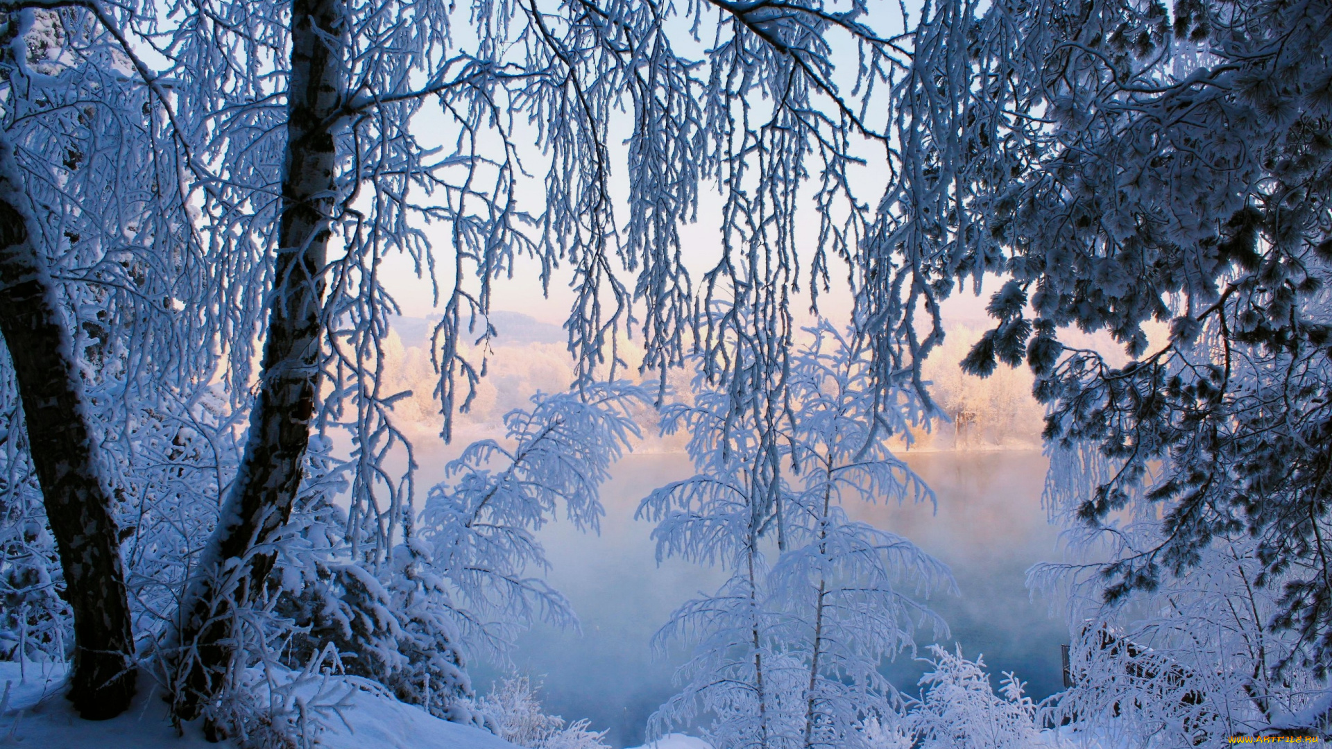 природа, зима, снег, лес