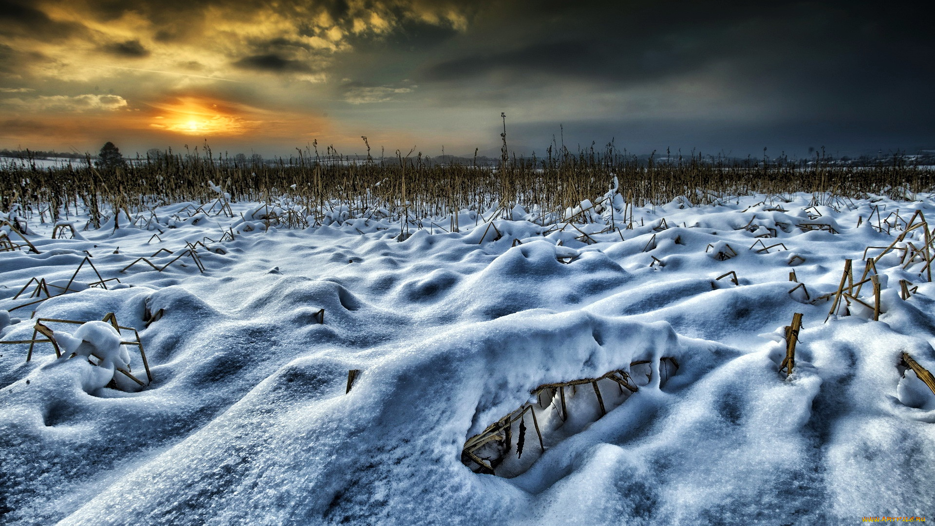 природа, зима, закат, снег