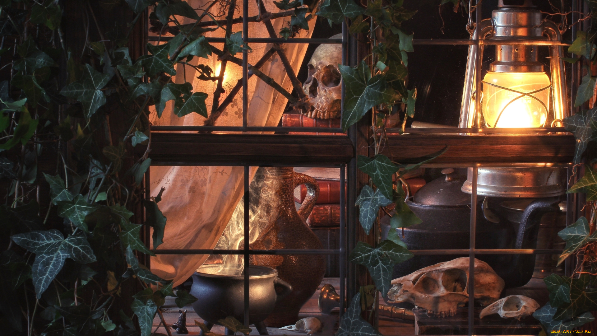 разное, кости, , рентген, черепа, окно, котел, плющ, фонарь