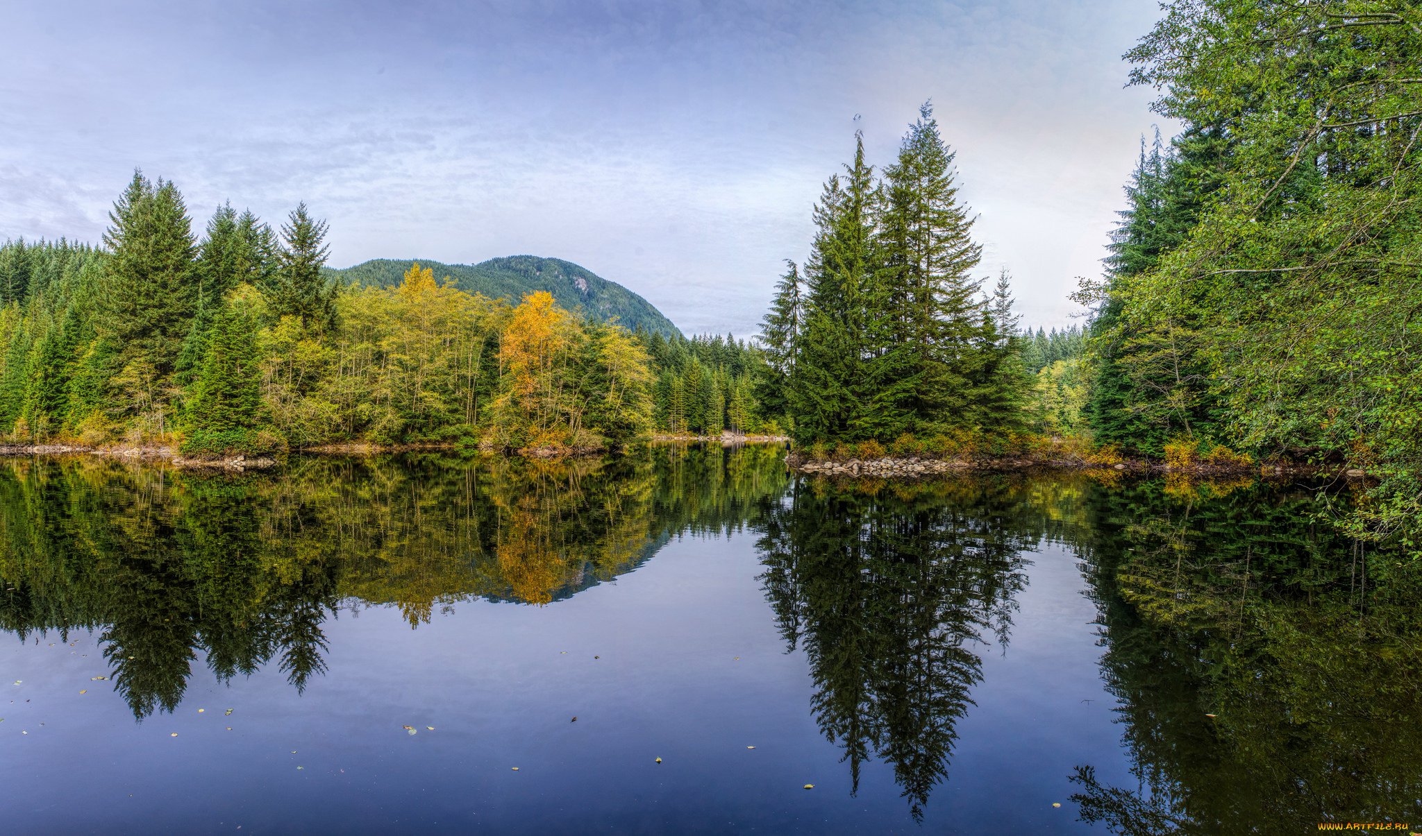 природа, реки, озера, лес, река