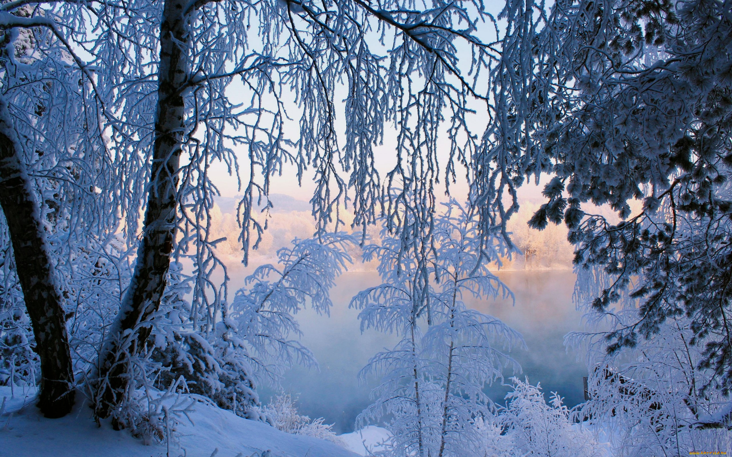 природа, зима, снег, лес