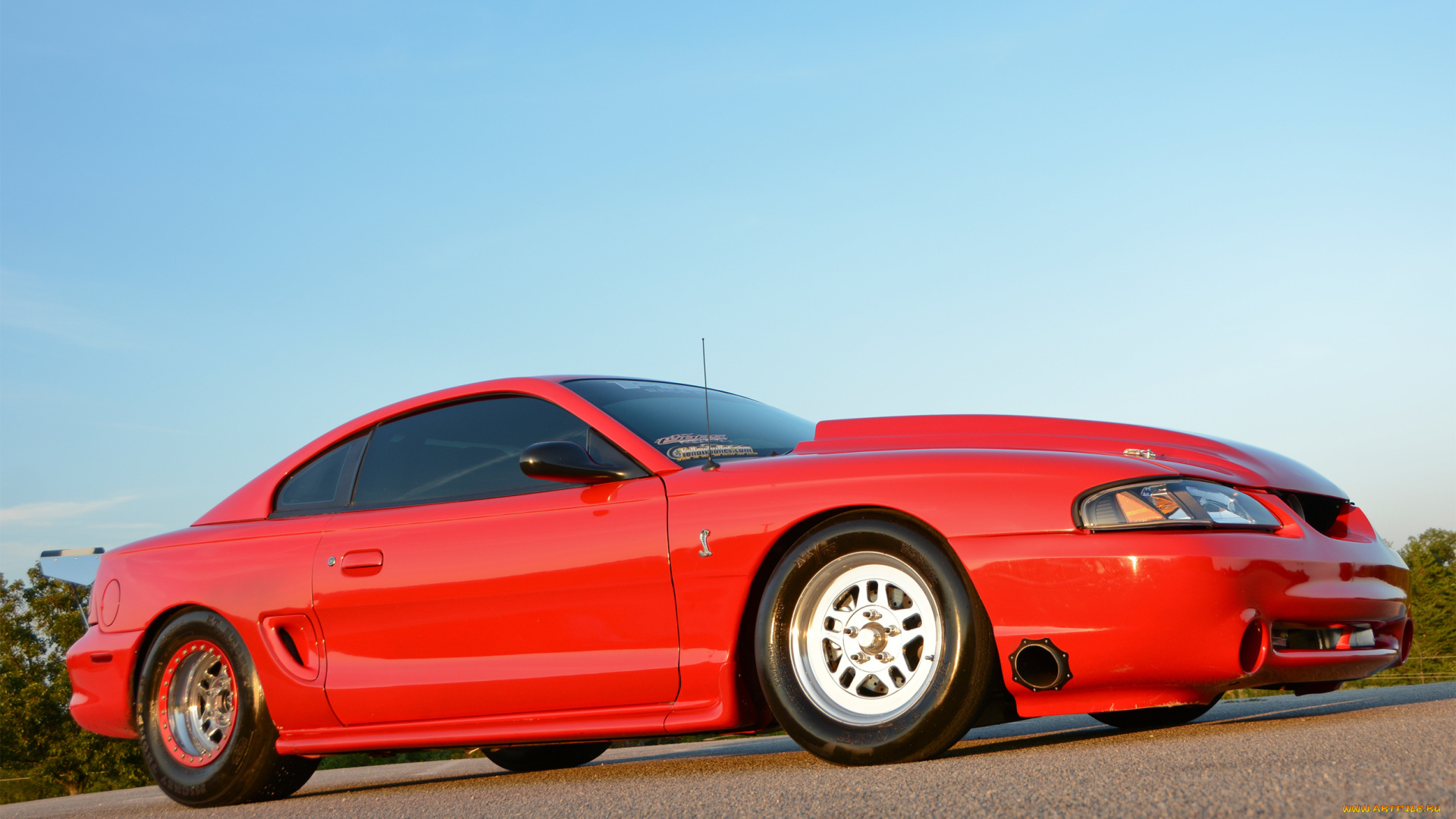 автомобили, mustang