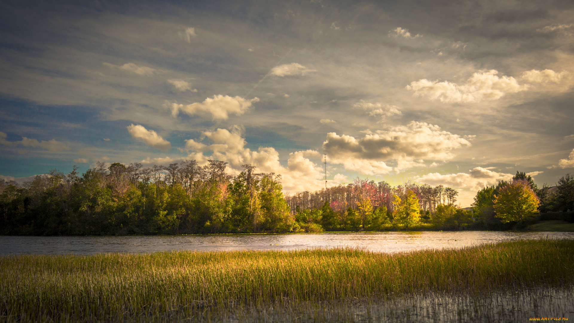 природа, реки, озера, лес, река