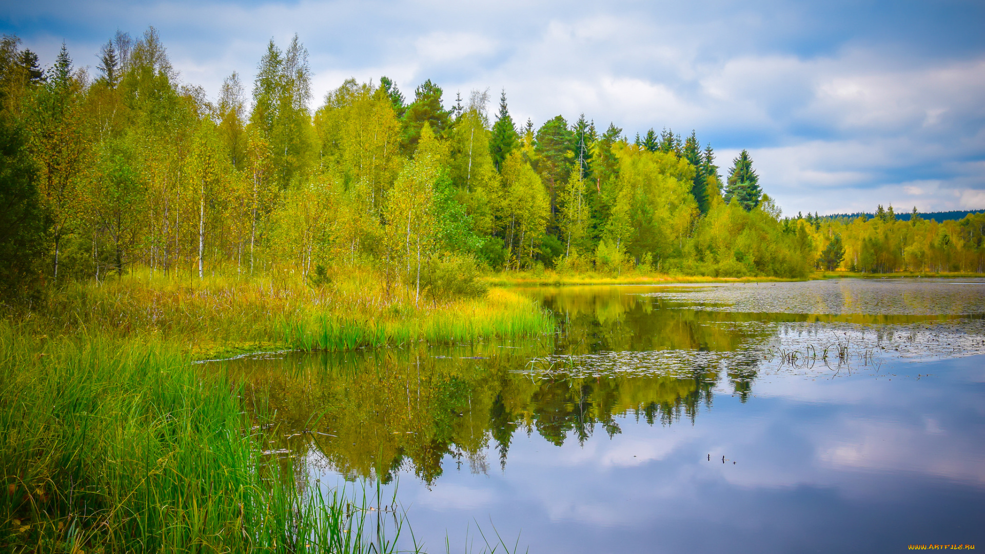 природа, реки, озера, лес, река