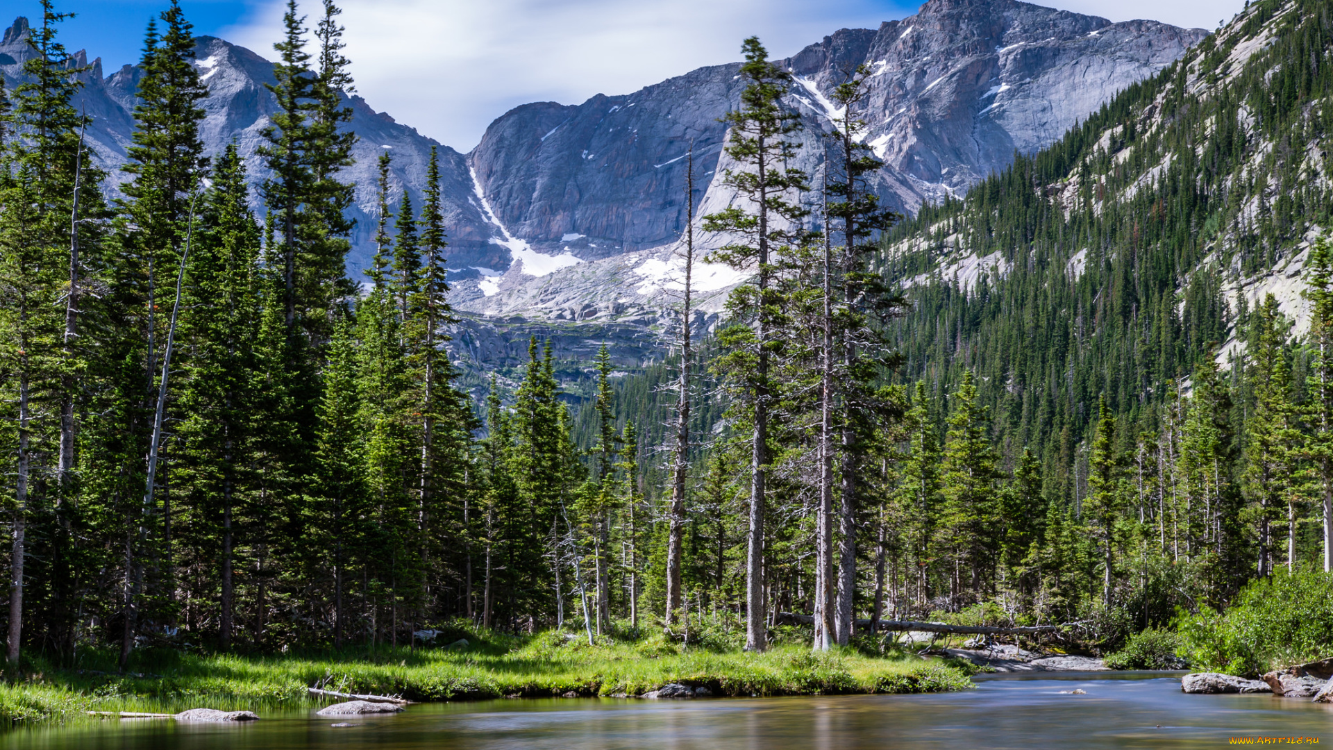 природа, реки, озера, лес, река