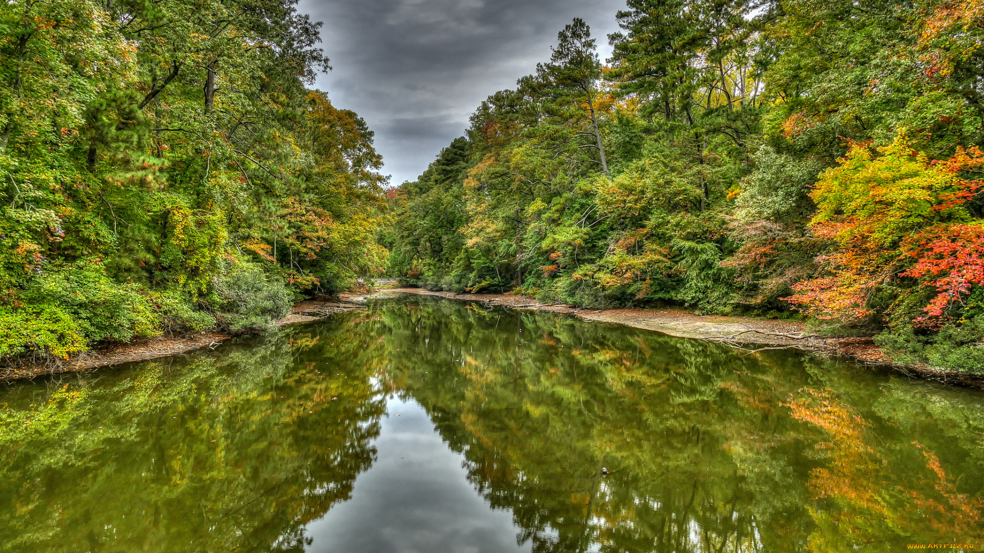 природа, реки, озера, лес, река