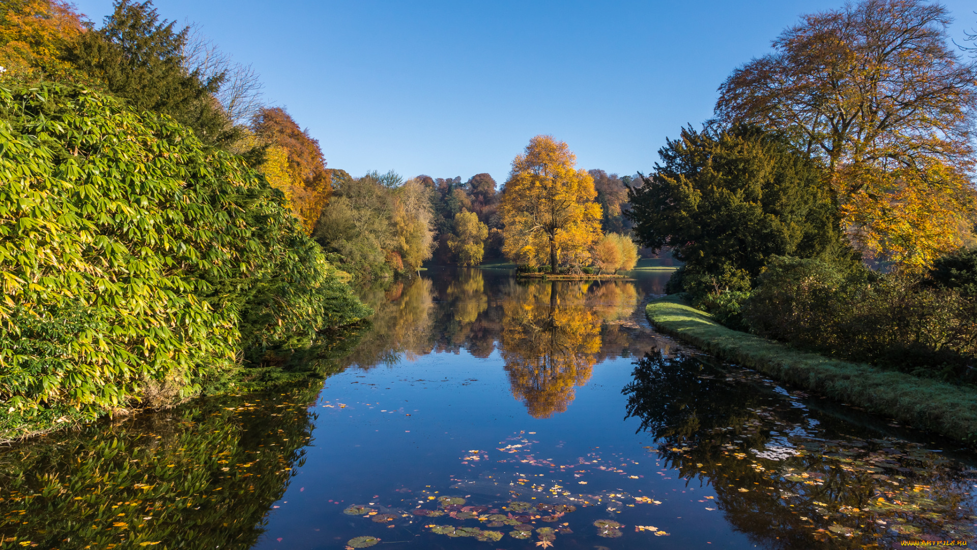 природа, реки, озера, лес, река