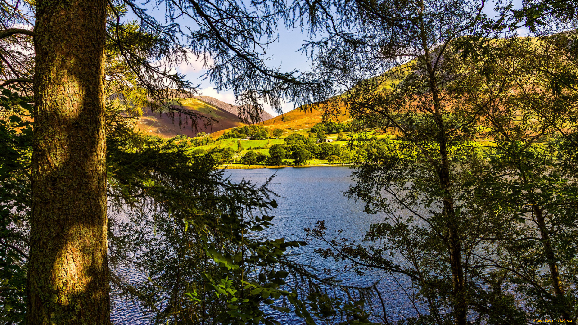 природа, реки, озера, лес, река