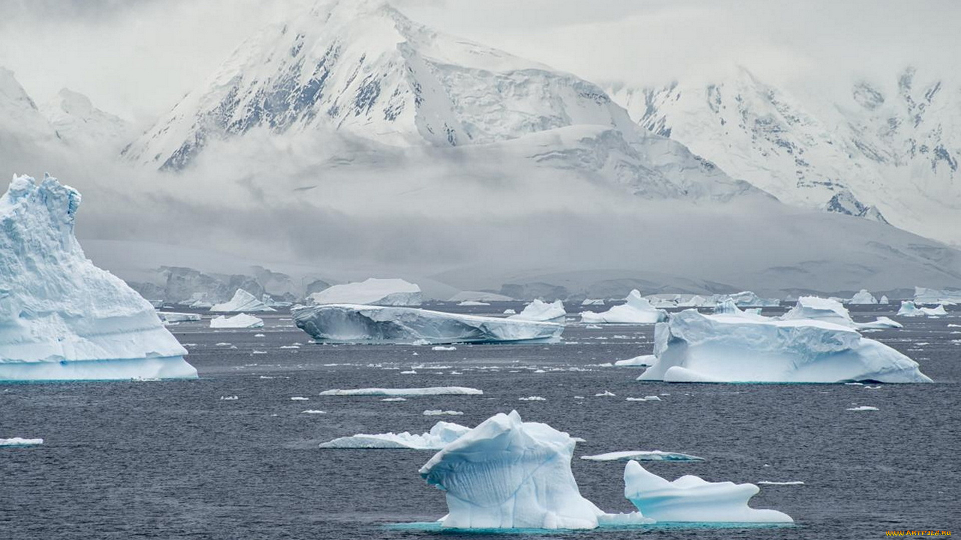 природа, реки, озера, река, лед