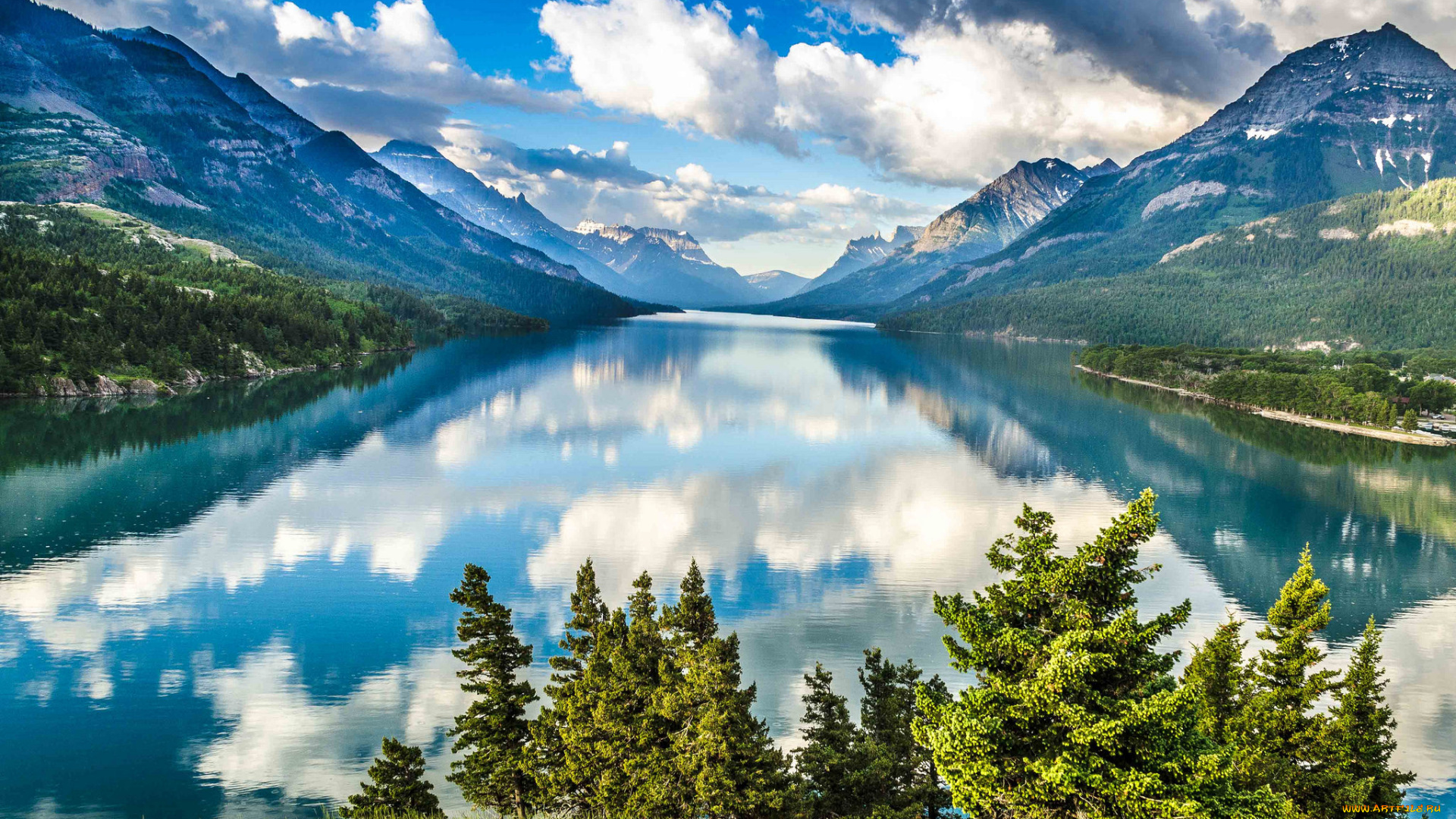 природа, реки, озера, река, лес