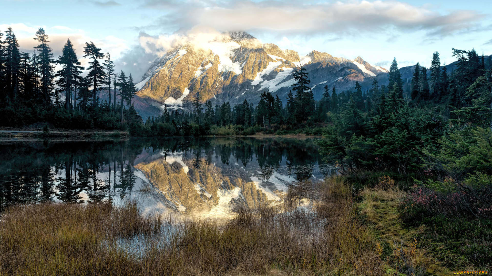 природа, реки, озера, река, лес