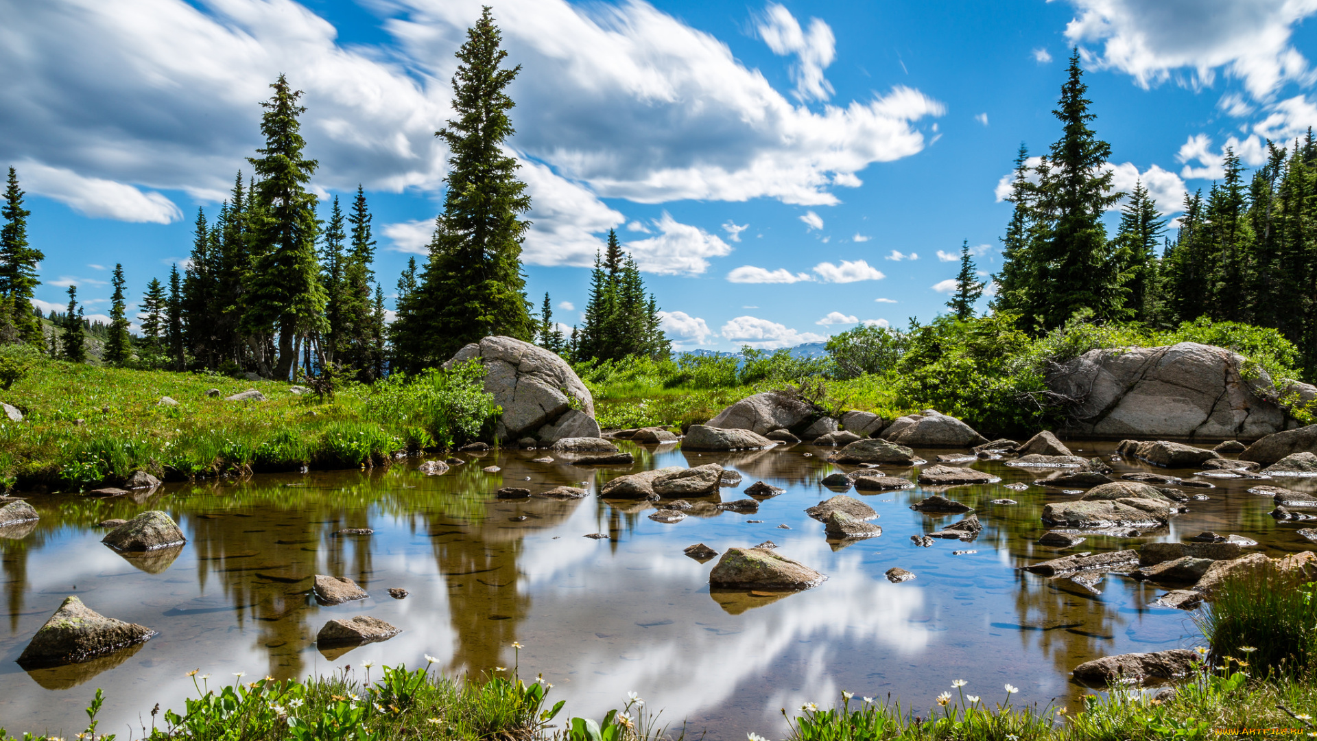 природа, реки, озера, река, лес