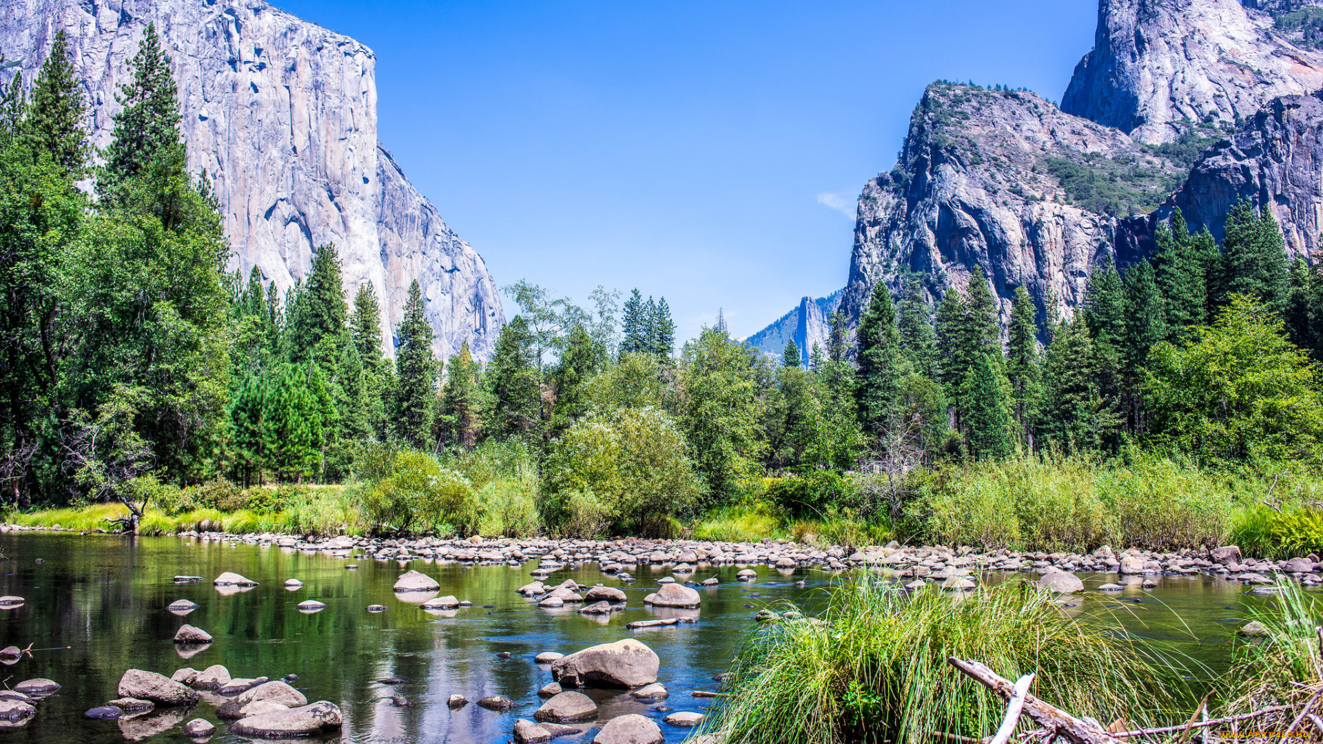 природа, реки, озера, река, лес