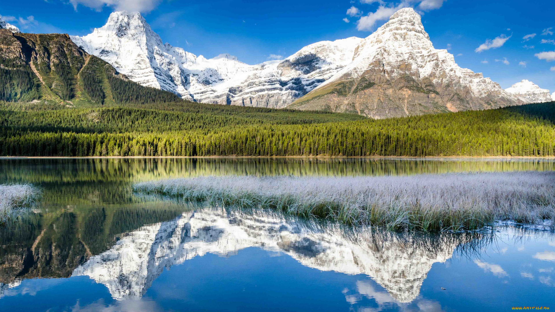 природа, реки, озера, река, лес