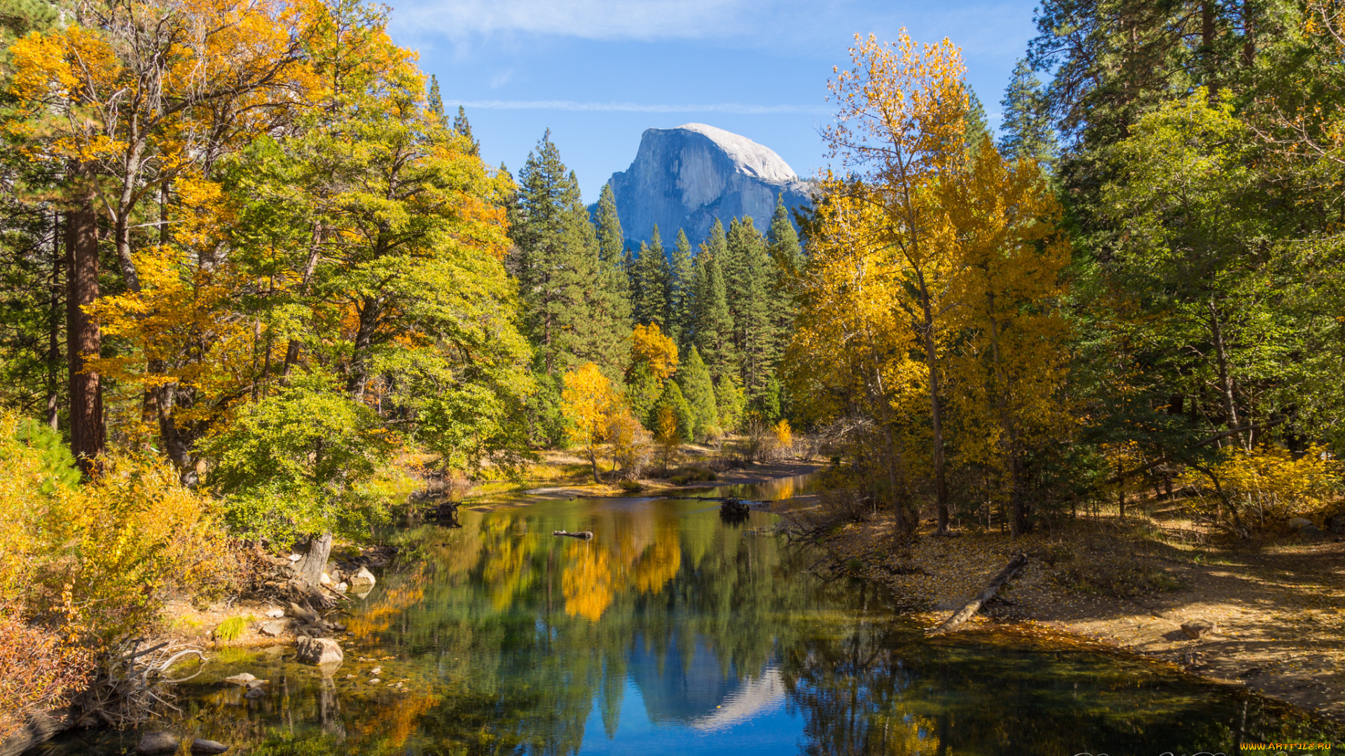 природа, реки, озера, река, лес