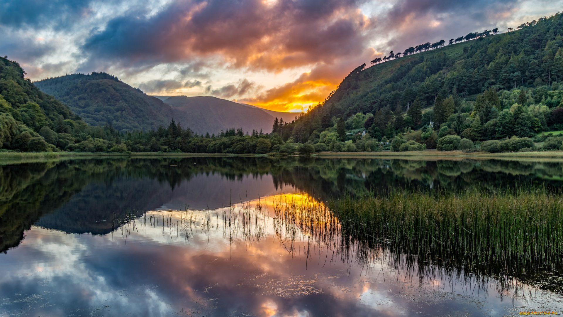 природа, реки, озера, река, лес