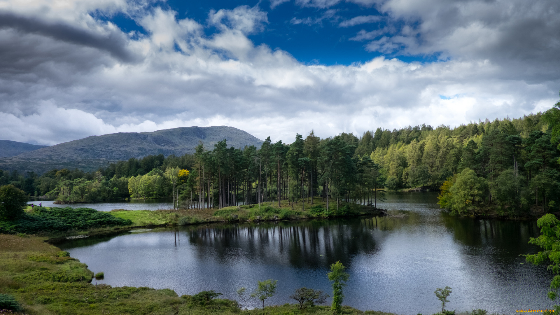 природа, реки, озера, река, лес