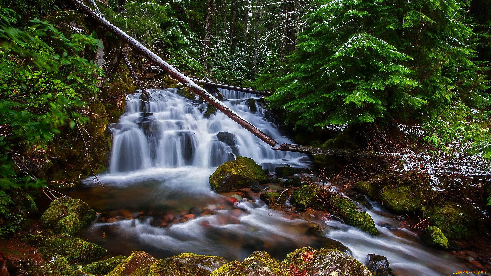 природа, водопады, водопад, скала, лес