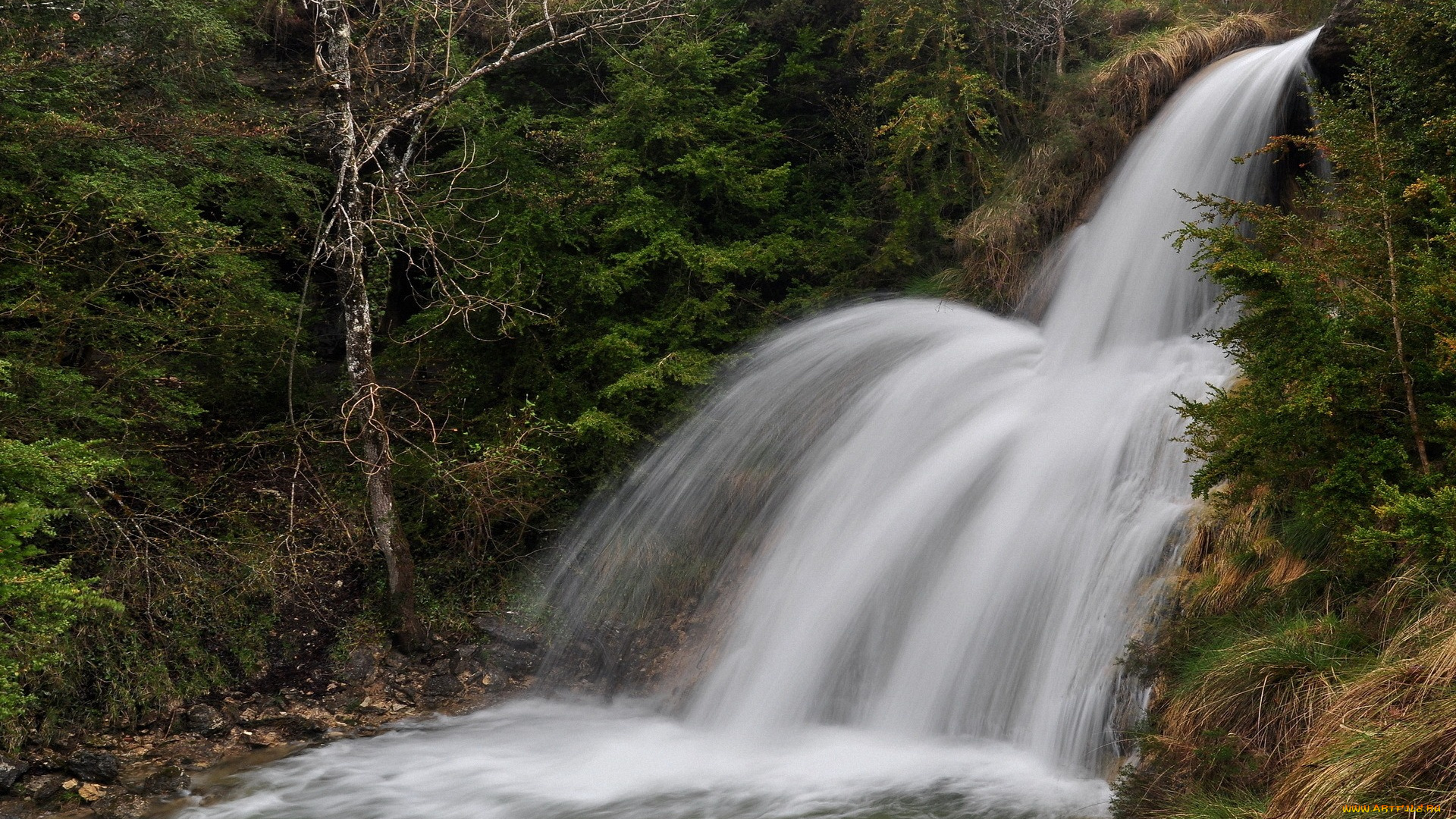 природа, водопады, водопад, скала, лес