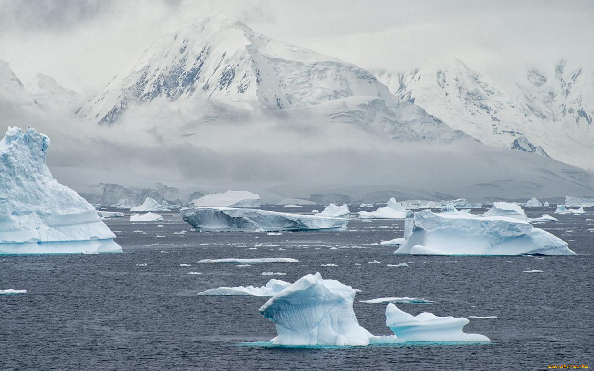 природа, реки, озера, река, лед