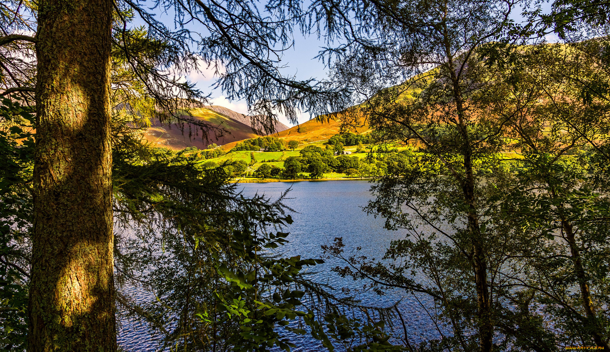 природа, реки, озера, лес, река