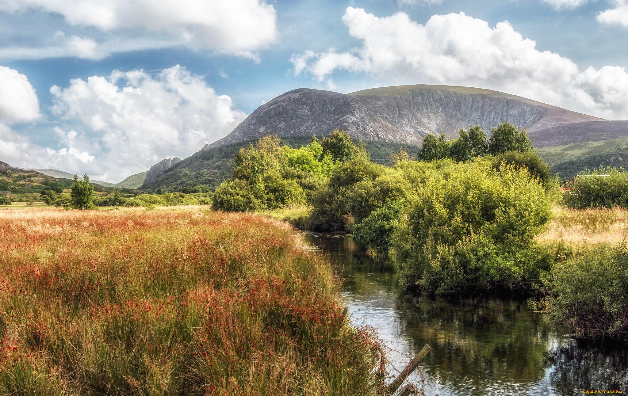 природа, реки, озера, лес, река